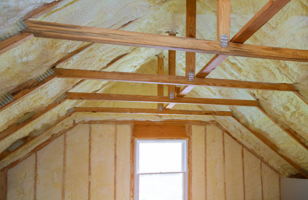 Best Insulation Maintenance and Repair in Polk City, IA
