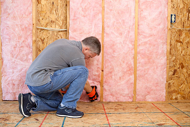 Best Energy Efficiency Solutions in Polk City, IA
