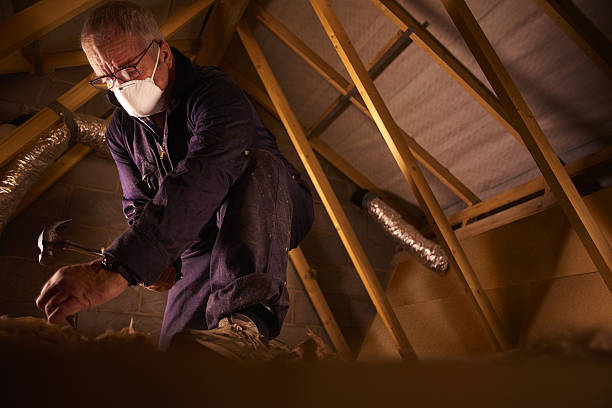 Best Commercial Insulation in Polk City, IA
